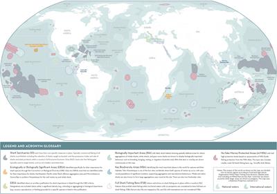 Putting sharks on the map: A global standard for improving shark area-based conservation